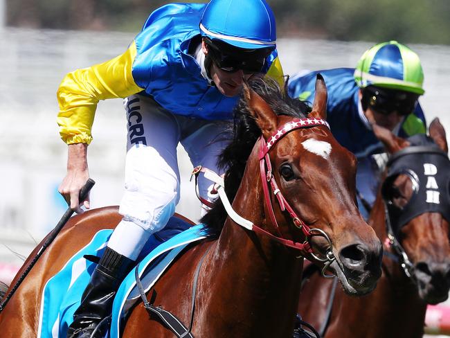 Blue Diamond race day at Caulfield. Race 5. The Futurity Stakes over 1400 meters.  Black Heart Bart ridden by Brad Rawiller wins the group 1 Futurity stakes  .Pic : Michael Klein