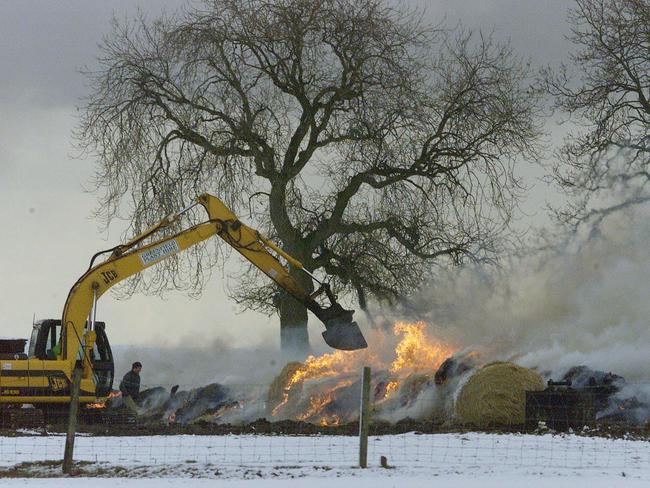 February 2001: Livestock carcasses are incinerated in northern England, after foot and mouth disease was found on a farm earlier in the week. Picture: AP/Tom Buist