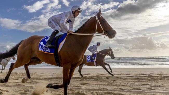 Magic Millions Barrier Draw and Beach run. Pic Tim Marsden