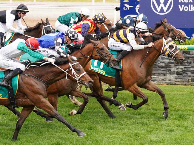 Amade (IRE) ridden by Zac Spain wins the bet365 Geelong Cup at Geelong Racecourse on October 25, 2023 in Geelong, Australia. (Photo by Scott Barbour/Racing Photos via Getty Images)