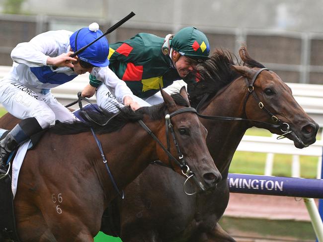 Jockey Ryan Maloney rides Alligator Blood to victory from Jockey James McDonald riding Catalyst in race 5, the Cs Hayes Stakes, during Black Caviar the Great Horse Race Day at Flemington Racecourse in Melbourne, Saturday, February 15, 2020. (AAP Image/Vince Caligiuri) NO ARCHIVING, EDITORIAL USE ONLY