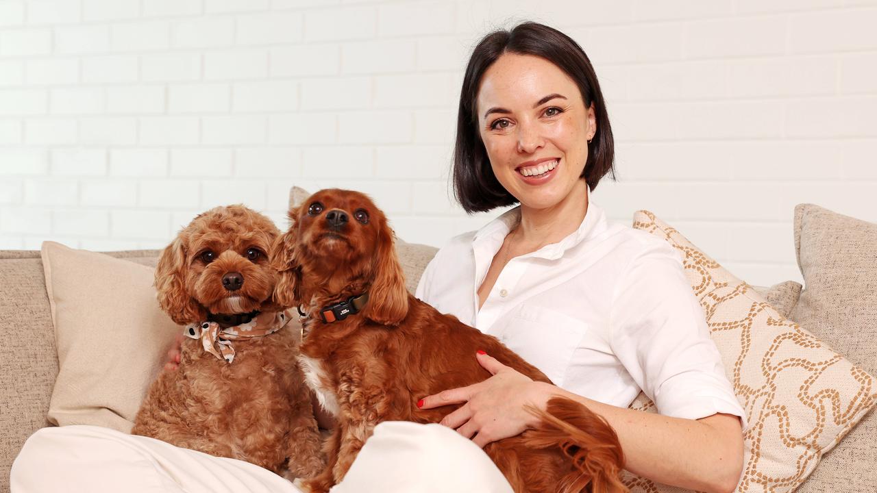 Most and least popular dog breeds in NSW revealed | The Cairns Post