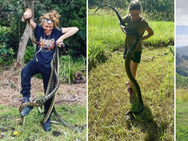 Northern NSW snake catchers relocating some of the snakes out and about on the North Coast.