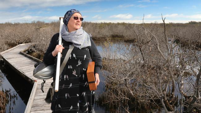 St Kilda resident and independent scientist Peri Coleman of Delta Environmental Consulting tests the water next to the St Kilda Mangroves Boardwalk trail in July. Picture Dean Martin