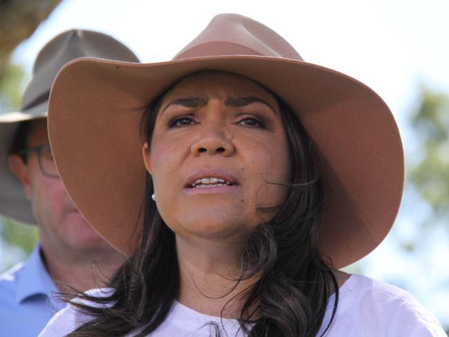 Senator Jacinta Nampijinpa Price will contest the Liberals’ deputy leadership days after she defected from the Nationals. Picture: Gera Kazakov