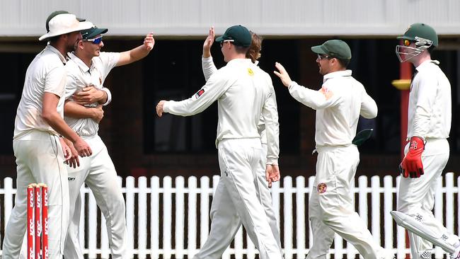 Redlands players celebrate a wicket First grade cricket final between UQ and Redlands Saturday March 25, 2023. Picture, John Gass