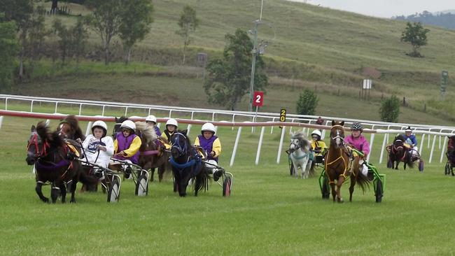 Young gun Ezekiel Fitness (Phantom Fella) leads the mini-trotters race at Kilcoy from Luke Thirgood (Little Trooper), Matilda Fudge (Flying Frankie), Briana Davis (Too Good For You) and Zac Davis (Awesome Win).