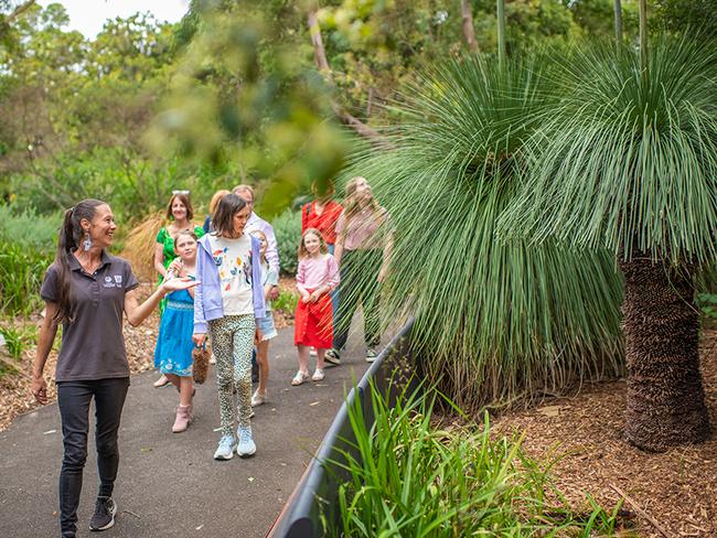 Royal Botanic Gardens of Sydney Aboriginal Bush Tucker Tour.