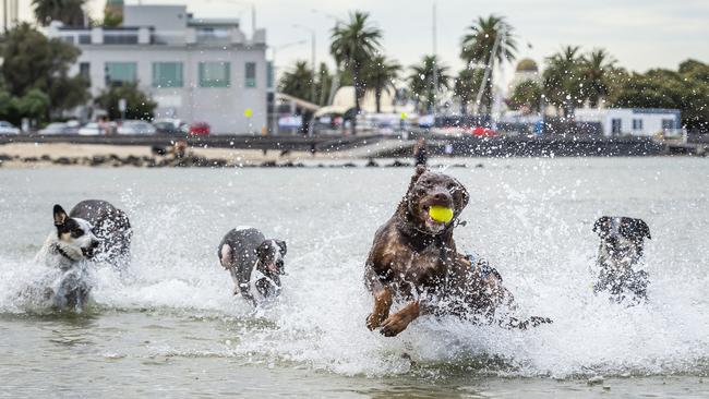 A cool change has swept through parts of Victoria’s south west, while suburbs like Laverton have hit 37C. Picture: Jake Nowakowski