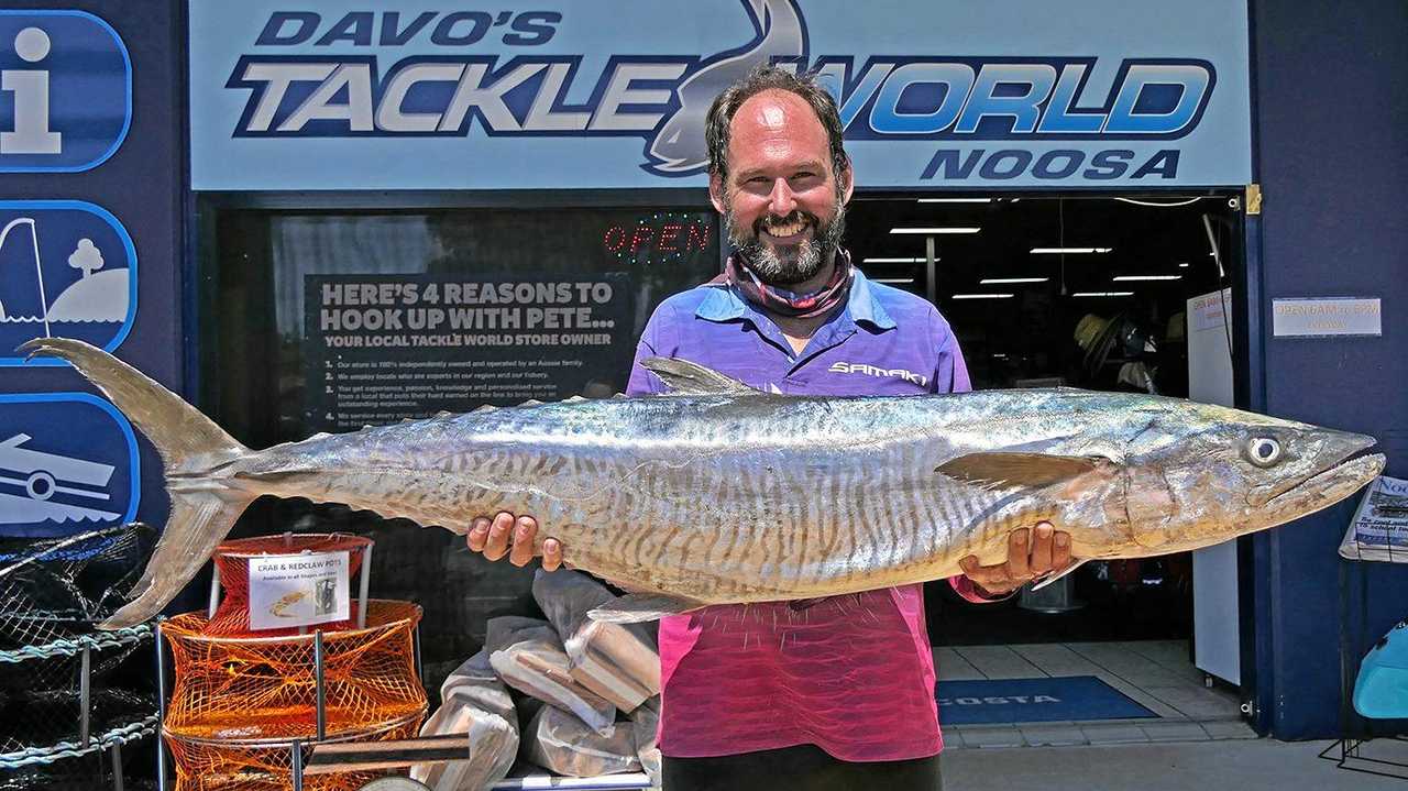 FISH OF THE WEEK: Warren Norup won the $100 Davo&#39;s/ChaseBaits Fish of the Week prize with this 17.5kg spanish mackerel which he caught while fishing from his kayak at Sunshine Reef. Picture: www.fishingnoosa.com.au