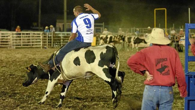 LIFE ON THE CLARENCE: Grafton Ghosts captain coach Danny Wicks sets a good score in the King Of the River steer ride at the Maclean Twilight Rodeo. Picture: Adam Hourigan Photography