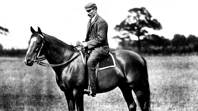 Portrait of racehorse Carbine, winner of 1890 Melbourne Cup.