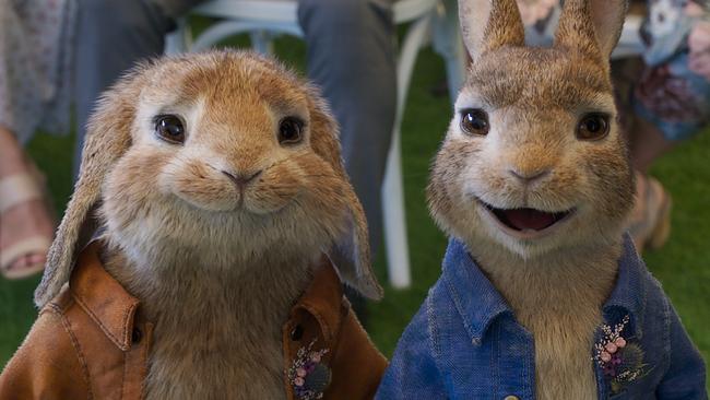 PETER RABBIT™ 2, the lovable rogue is back.