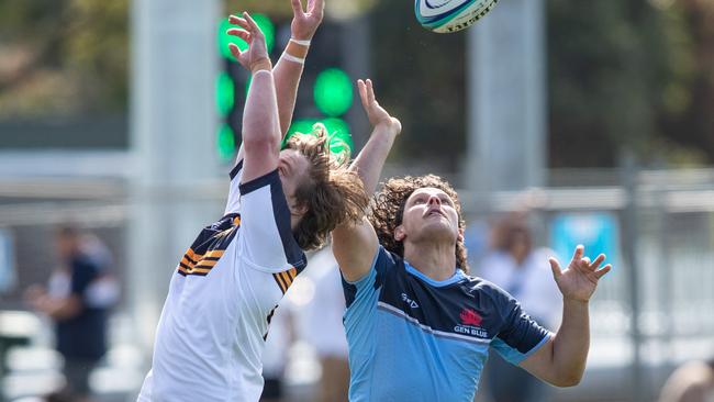 Riley Hemsworth in the NSW Waratahs U19 match.