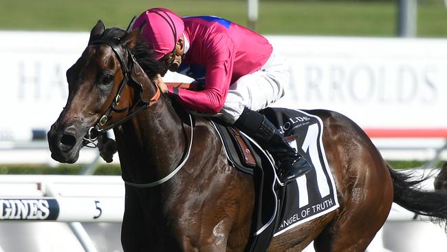 ATC Australian Derby winner Angel Of Truth will be among the local contingent aiming for Cups success. Picture: AAP