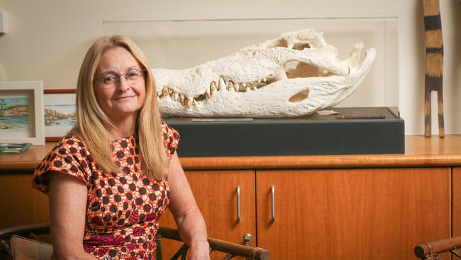 Territory Coroner Elisabeth Armitage. Picture: Glenn Campbell