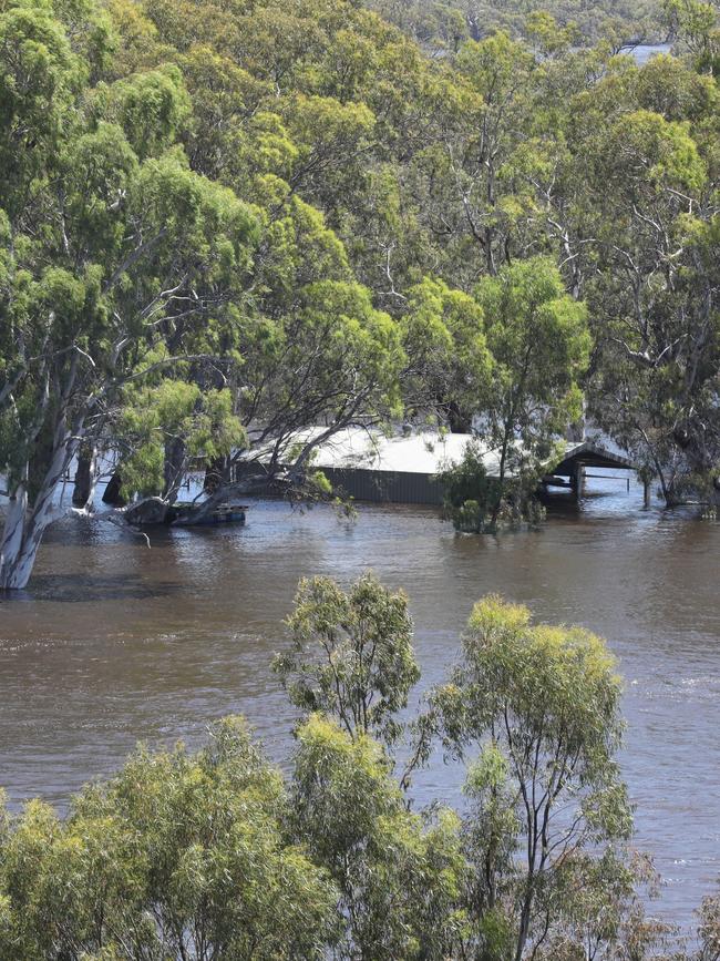 Flooding at Waikerie on December 7. Picture: Dean Martin