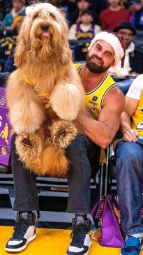 Dog shows skills on NBA court during Lakers game The Courier Mail