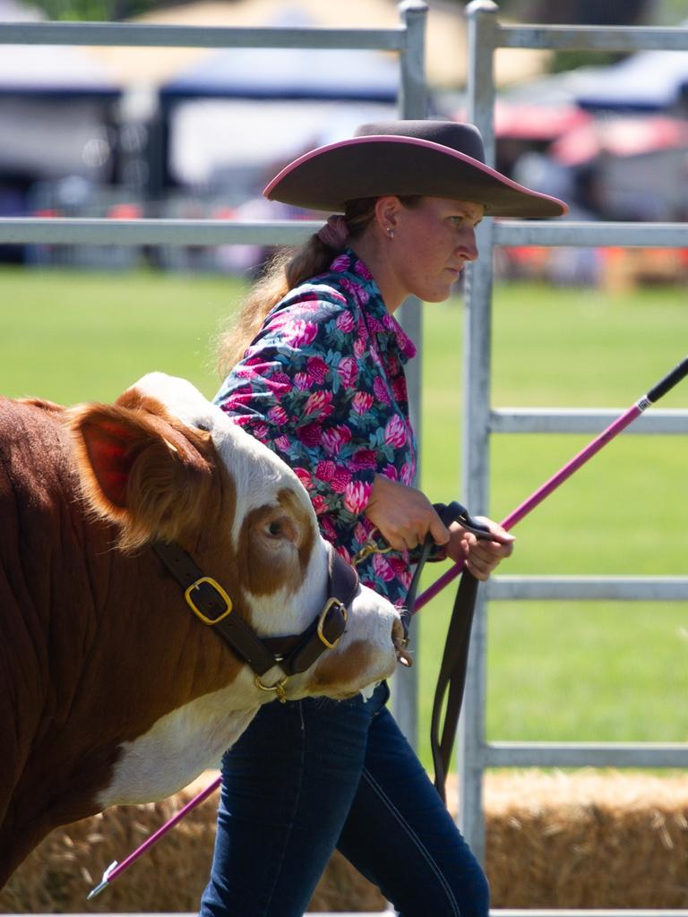 Cattle were a big part of the 2023 Murgon Show.