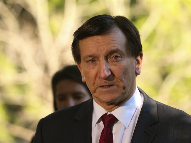 Minister for Local Government Ron Hoenig. Picture: Gaye Gerard