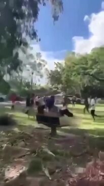 Apex park fight