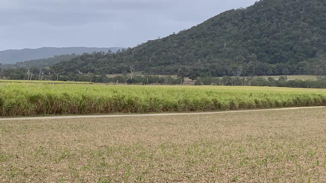 At about 7am on August 27, a tractor incident took the life of 87-year-old cane farmer Tony Galea at Alligator Creek. Tony's son Mark was also injured. Picture: Duncan Evans.