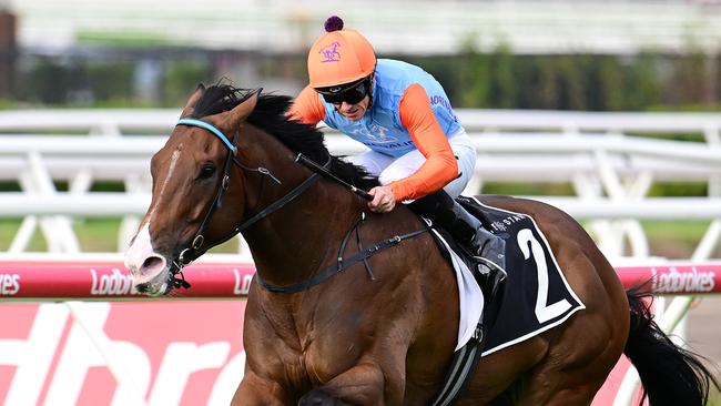 Rob Heathcote-trained sprinter Prince Of Boom confirms his spot in the Stradbroke Handicap by scoring the Moreton Cup at Eagle Farm under jockey Tim Clark. Pictures: Grant Peters, Trackside Photography