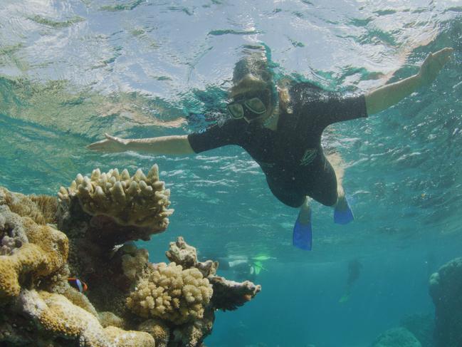 13/08/2019: Minister of the Environment Sussan Ley snorkelling over the Great Barrier Reef off the coast of Cairns. PIC: SUPPLIED