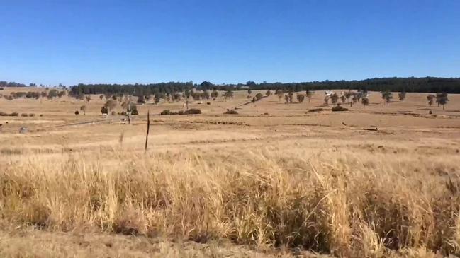 Farmers react to drought