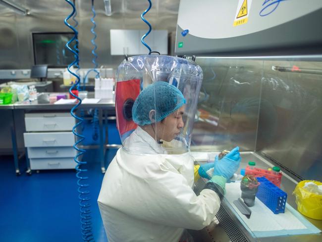 A worker inside the P4 laboratory in Wuhan. Experts from the World Health Organisation all but eliminated a theory that COVID-19 came from a laboratory. Picture: AFP