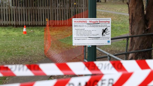 A sign warning about the magpie at Glindemann Park. Picture: Liam Kidston