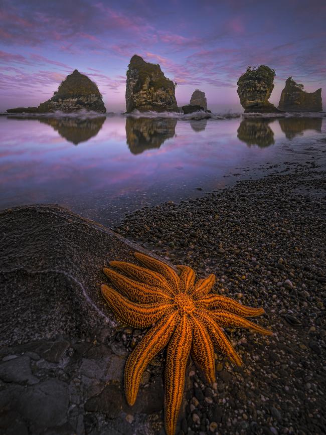 Landscape winner: Andy Smith ... Like most passionate landscape photographers, it’s a love of nature that helped New South Wales’ Andy Smith gravitate to photography. This image was taken at Motukeike, West Coast, New Zealand. Picture: Andy Smith/Australian Photography magazine
