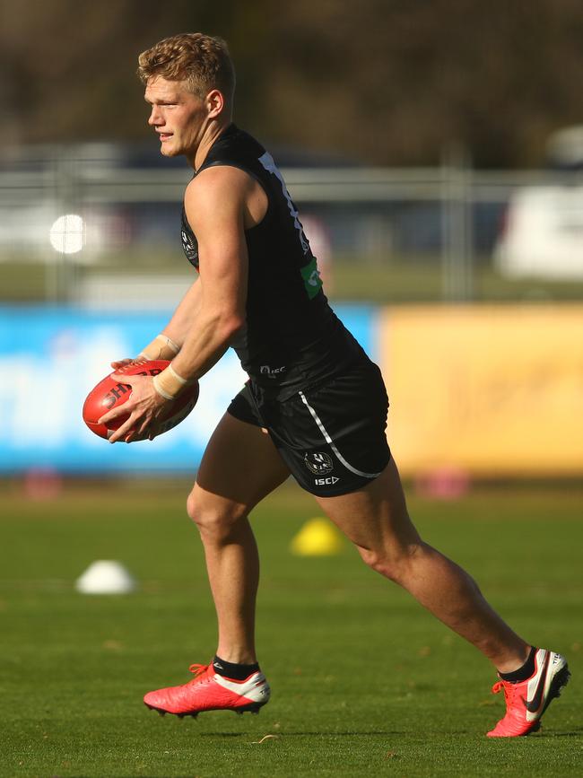 Adam Treloar has been his typical prolific-self since returning for Collingwood.