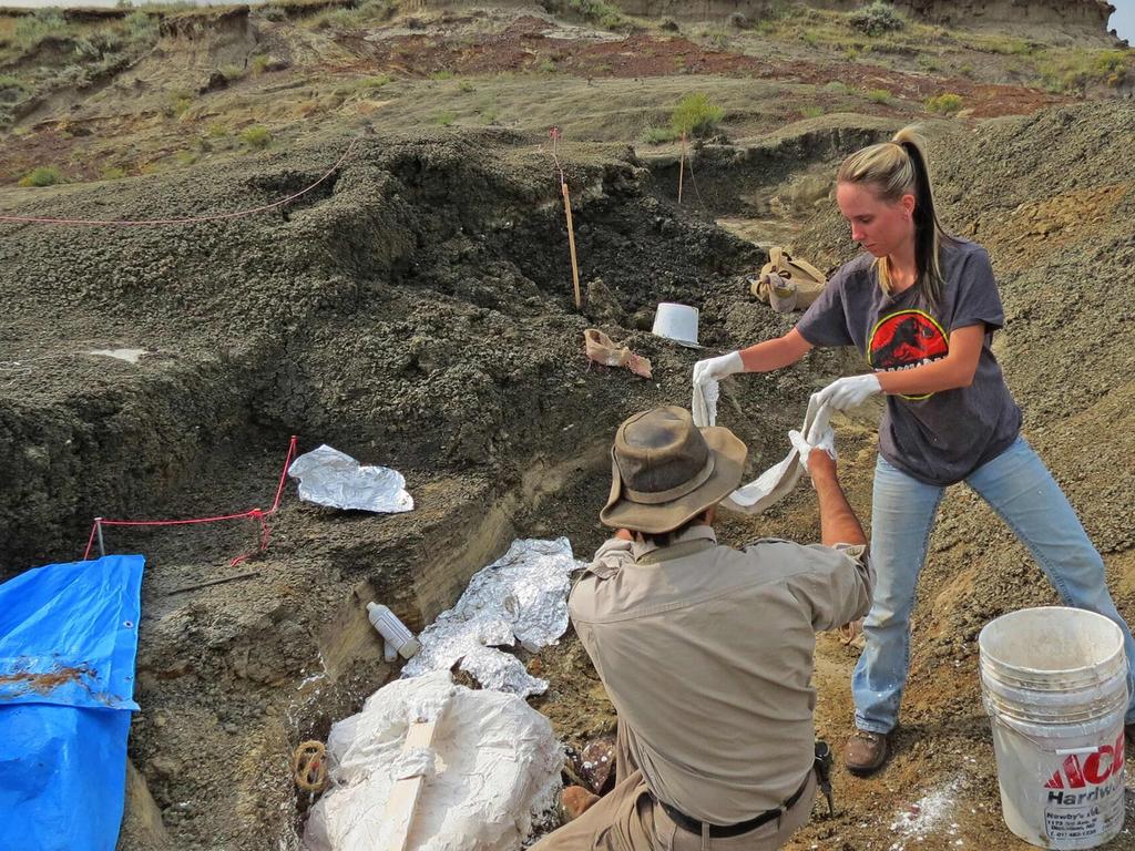 Incredible dinosaur graveyard raising eyebrows in palaeontology |  news.com.au — Australia's leading news site