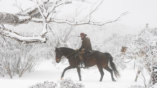 Mr Benedetti and Assassin in the northeast Gippsland snow. Picture: Zoe Phillips