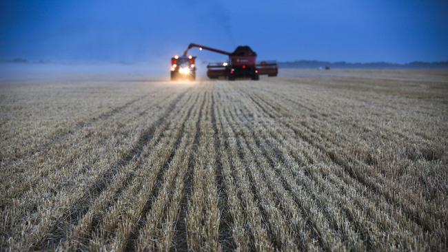 Harvest of the crop in Russia. Picture: Andrey Rudakov