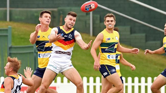 Adelaide's Bryce Gibbs will again form part of a strong Crows SANFL side. Picture: Tom Huntley