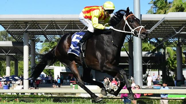 Amokura won last year’s Queensland Oaks for Kris Lees. Picture: Grant Peters – Trackside Photography