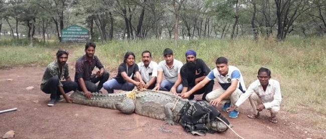 The NT Ranger Association is raising money to help Rajasthan forest ranger Prem Kanwar Shaktawat to Darwin for the International Union for Conservation of Natureâ&#128;&#153;s Crocodile Specialist Group conference. The Indian ranger has been celebrated for saving more than 500 animals, including mugger freshwater crocodiles.