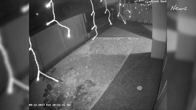 CCTV catches Christmas light thief