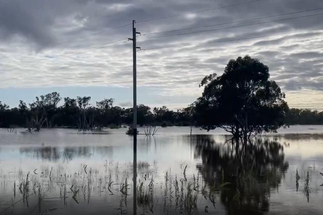 The township of Forbes on the morning of November 16, 2022, as it deals with a flood emergency. Flood waters still expected to rise. Picture: Aymon Bertah