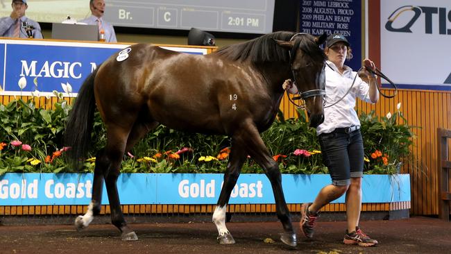 Magic Millions sales 6-1-16 , Lot 119. Picture: Mike Batterham