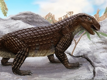 an artist's impression of Simosuchus clarki