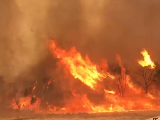 A bushfire takes hold on Kangaroo Island. Picture: Brenton Davis