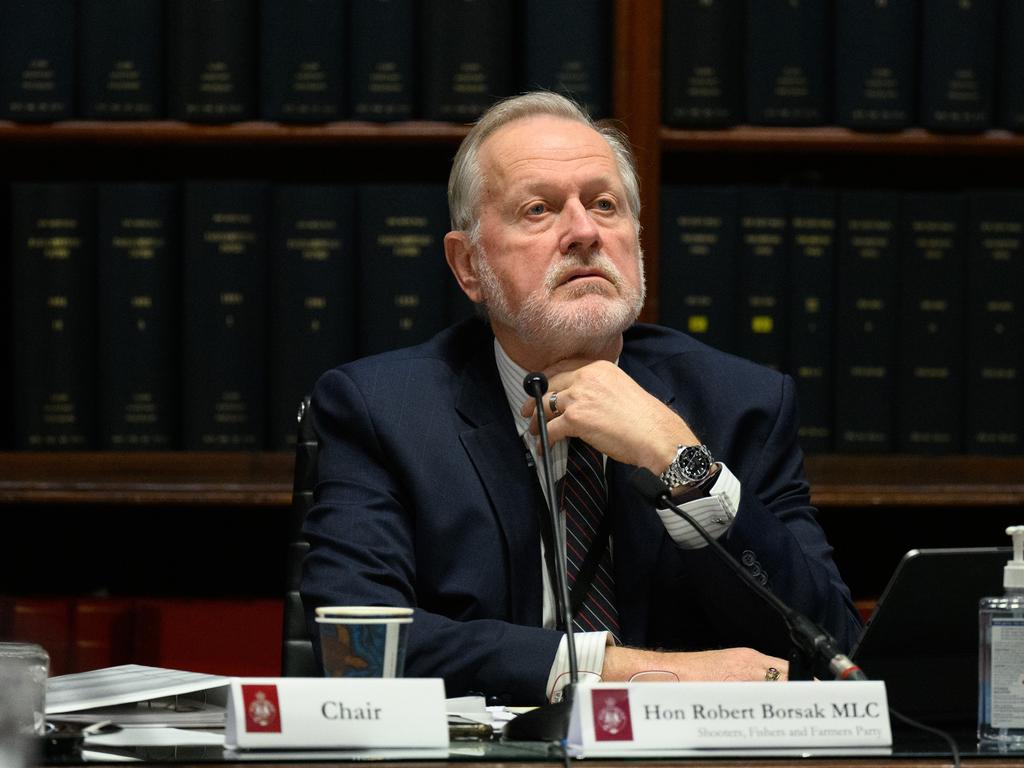 SFF leader Robert Borsak has called for Mr Perrottet to be investigated by police. Picture: NCA NewsWire / James Gourley