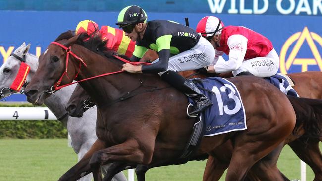 Everest favourite Think About It can kick off his campaign with a win in the Premiere Stakes at Randwick on Saturday. Picture: Grant Guy