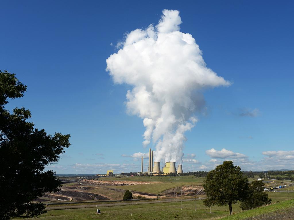 A new report slams the carbon credit scheme. Picture: Carla Gottgens/Bloomberg via Getty Images