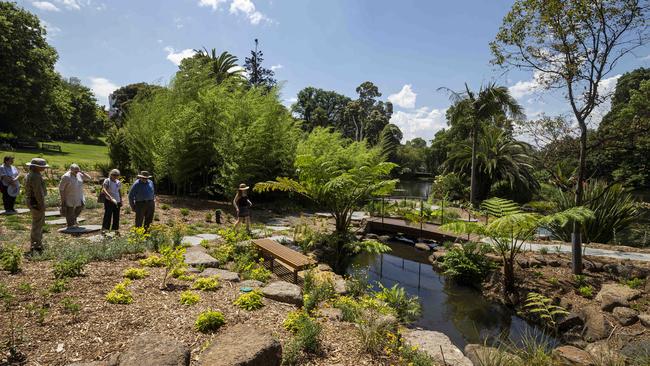 The garden has been positioned at the bottom of Fern Gully, which is the coolest place in Melbourne. Picture: NCA NewsWire/Daniel Pockett