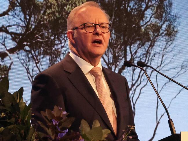 Future Vic Conference by the Herald Sun at Crown Promenade.PM Anthony Albanese address the VIP guests.                                                           Picture: David Caird