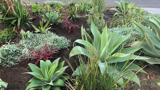 The fairy garden is lovingly maintained by Shayne Whiteley and his neighbours. Picture: Shayne Whiteley